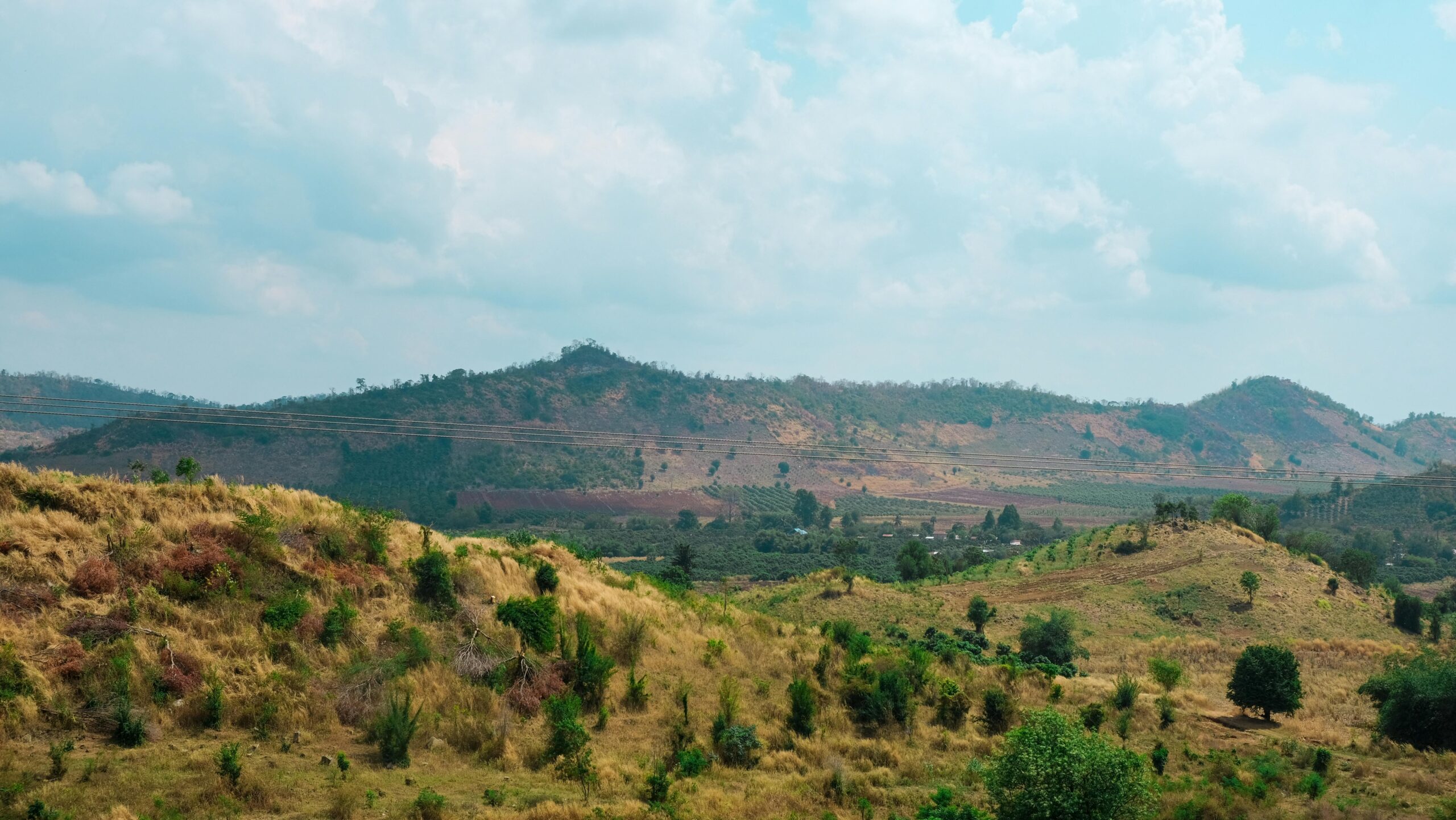Rolling Green Hills Landscape