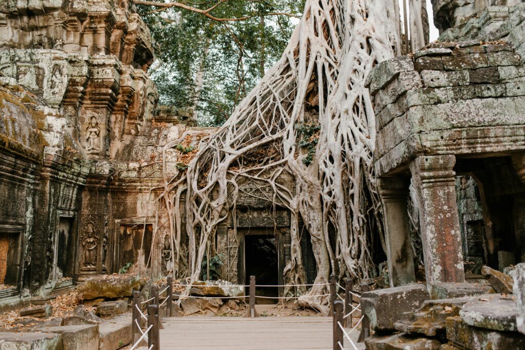 pexels-photo-5769407-5769407 Ancient Ta Prohm temple ruins entangled with tree roots in Angkor, Cambodia, showcasing historical beauty.
