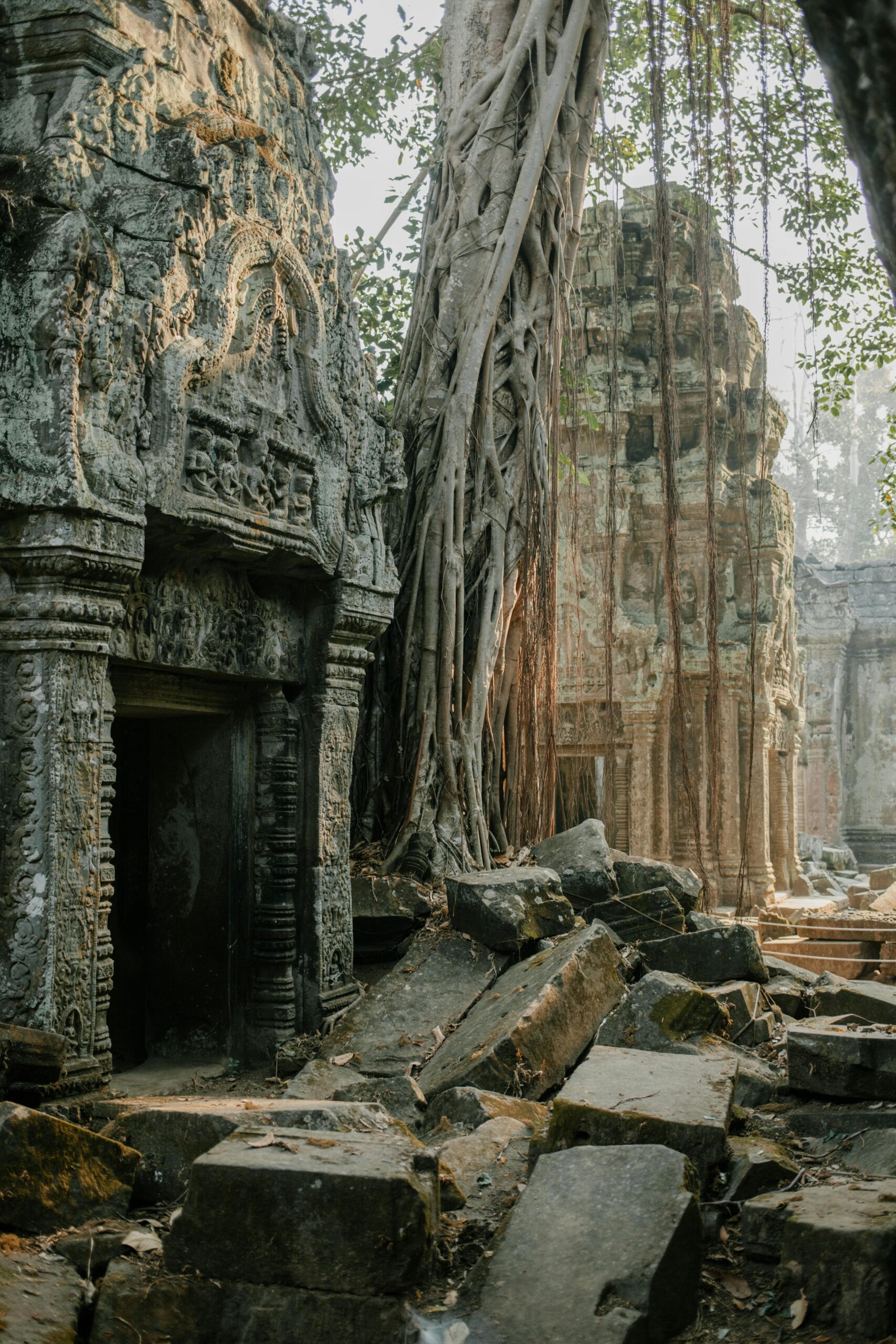 pexels-photo-5769410-5769410 Explore the timeless ruins of Angkor Wat overtaken by nature's embrace.